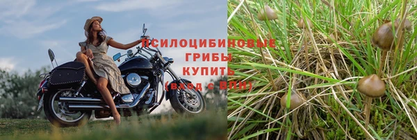 марихуана Володарск