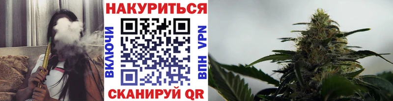 Канабис сатива  Змеиногорск 